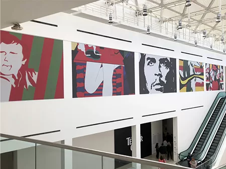 MALBA, POP BRASIL